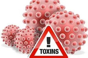 Детоксикация организма