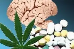 Солевая зависимость