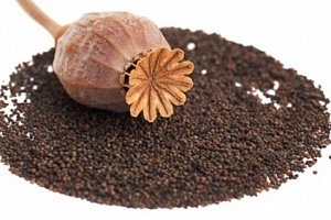 Опийная зависимость